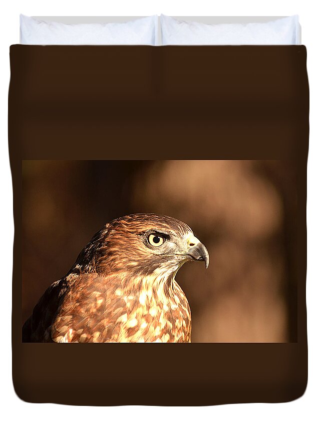 Broad-winged Hawk Duvet Cover featuring the photograph Broad-winged Hawk by Nancy Landry