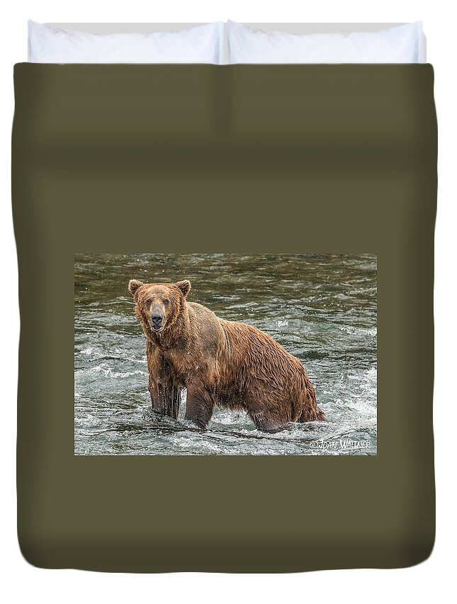 Alaska Duvet Cover featuring the photograph Brooks River Grizzly by Joan Wallner