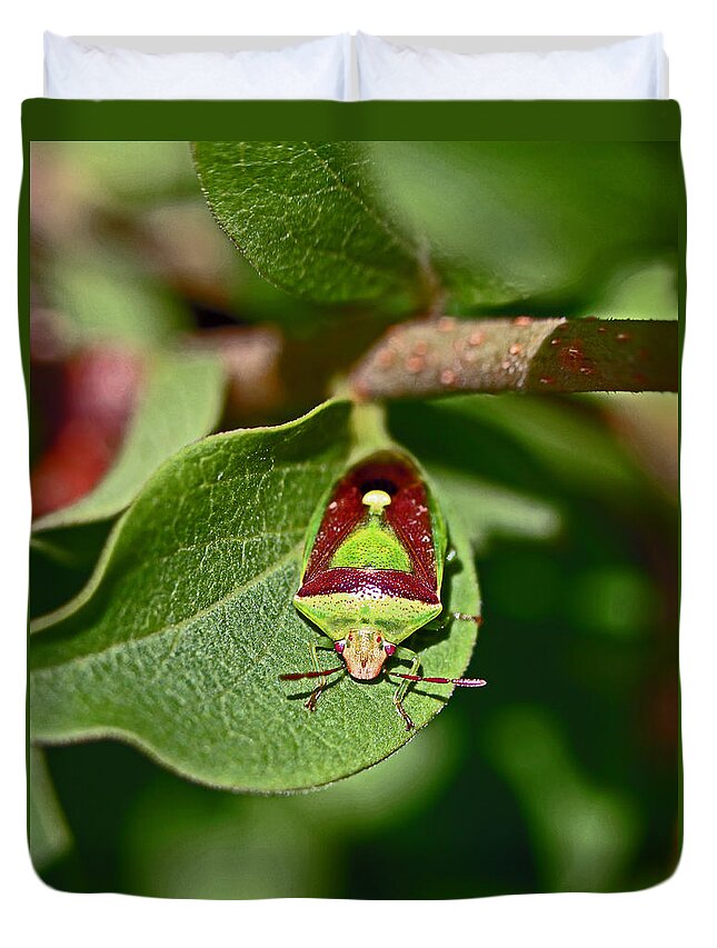 Insects Duvet Cover featuring the photograph Martini Glass by Jennifer Robin