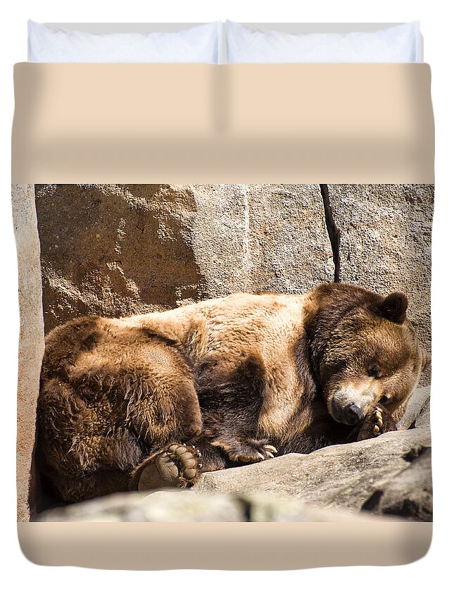 Brown Bear Duvet Cover featuring the photograph Brown bear asleep again by Flees Photos
