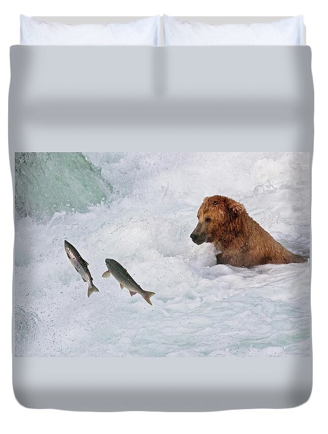 Brown Bear Duvet Cover featuring the photograph Brown Bear Catching Salmon At Brooks by Keren Su