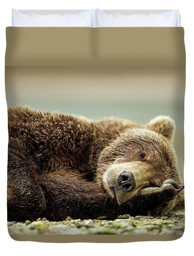 Brown Bear Duvet Cover featuring the photograph Brown Bear, Katmai National Park, Alaska by Paul Souders