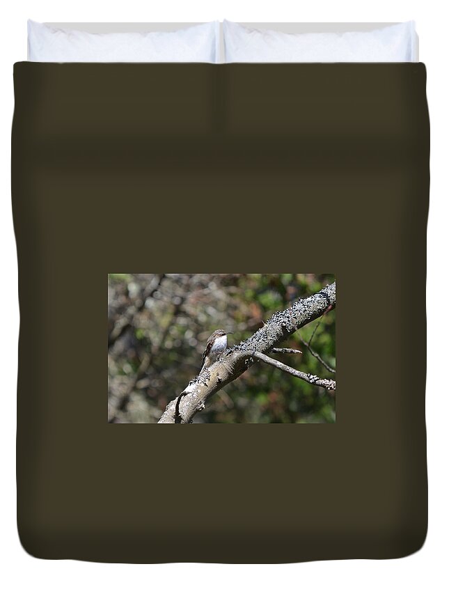 Birding Duvet Cover featuring the photograph Brown Creeper by James Petersen