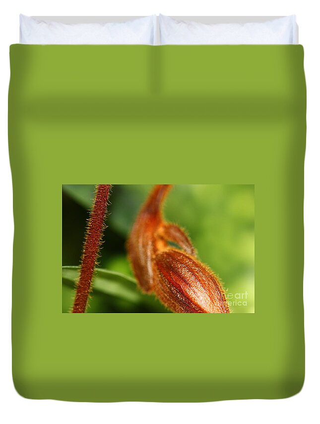 Botanical Duvet Cover featuring the photograph Brown Flower Bud by Amanda Mohler