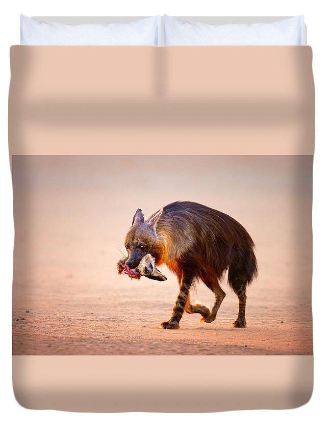 Hyena Duvet Cover featuring the photograph Brown hyena with bat-eared fox in jaws by Johan Swanepoel