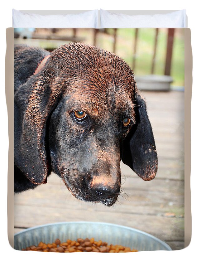 Hound Dog Duvet Cover featuring the photograph Brown Noser by Jennifer Robin
