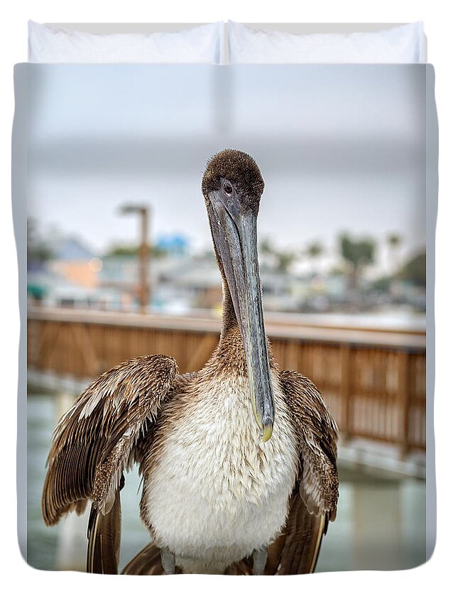 Florida Duvet Cover featuring the photograph Brown Pelican on the Ft Myers Pier by Edward Fielding