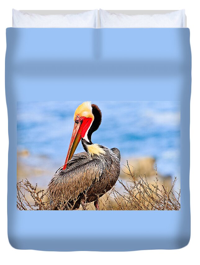 Pelican Duvet Cover featuring the photograph Brown Pelican Posing by Ben Graham