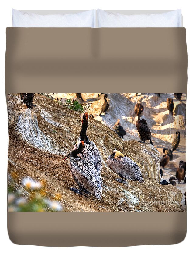Pelican Duvet Cover featuring the photograph Brown Pelicans at Rest by Jim Carrell