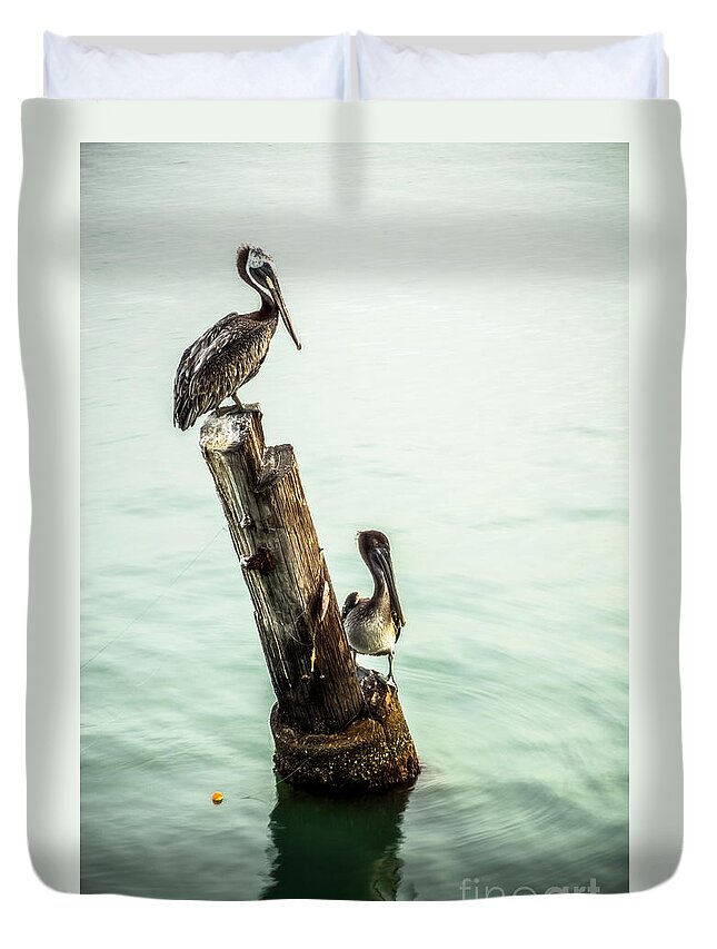 Brown Pelicans Duvet Cover featuring the photograph Brown Pelicans by Imagery by Charly