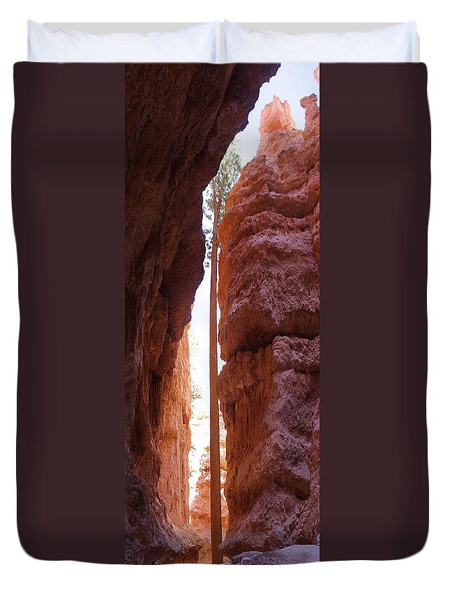 Bryce Canyon Duvet Cover featuring the photograph Bryce Canyon from the Bottom Panoramic by Mike McGlothlen