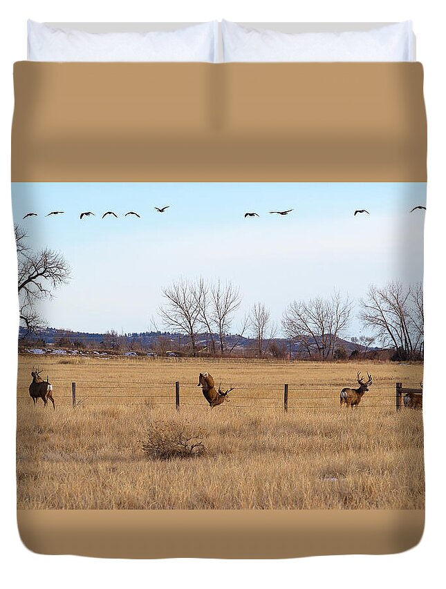 Deer Jumping Phoograph Duvet Cover featuring the photograph Bucks and Geese by Jim Garrison