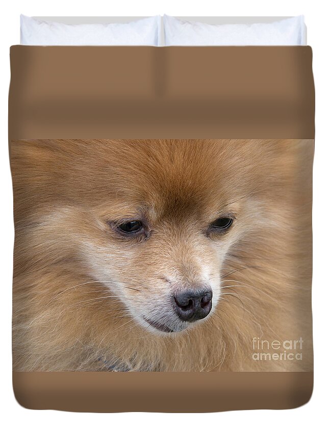 Dog Duvet Cover featuring the photograph Buddy by Ann Horn