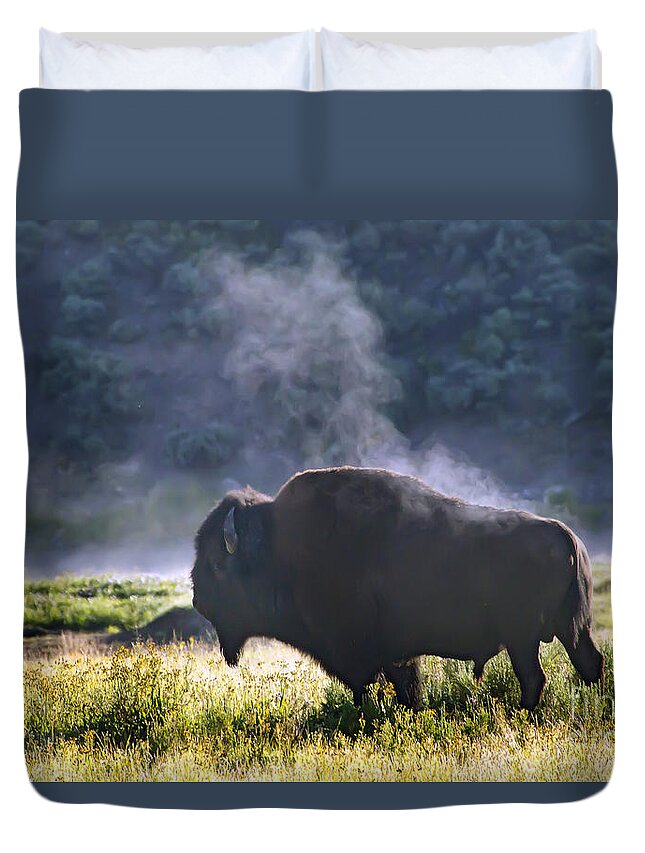 Buffalo. Bison Duvet Cover featuring the photograph Buffalo Steam-Signed-#2170 by J L Woody Wooden