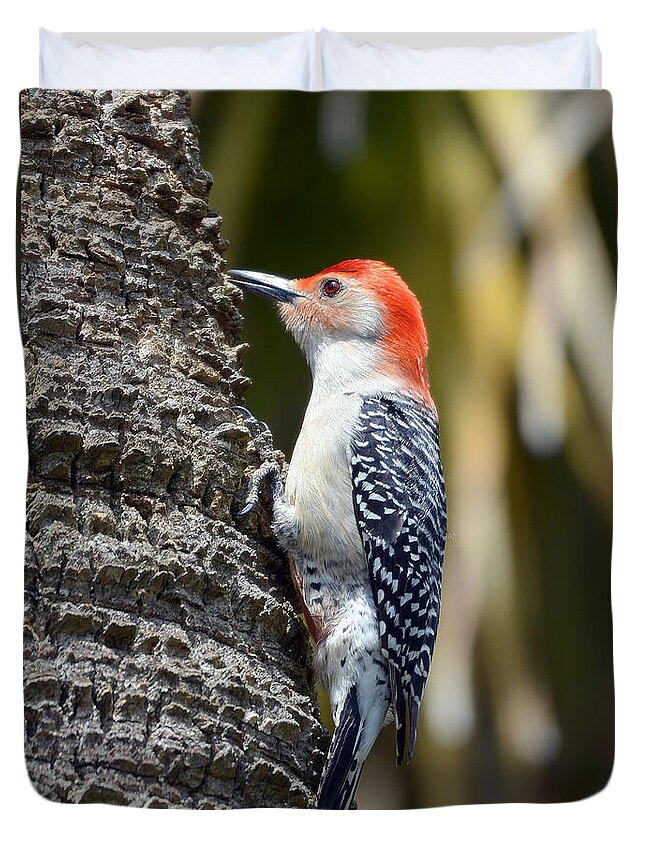 Woodpecker Duvet Cover featuring the photograph Building A Home by Kathy Baccari