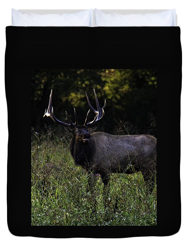 Bull Elk Duvet Cover featuring the photograph Bull Elk at First Light by Michael Dougherty