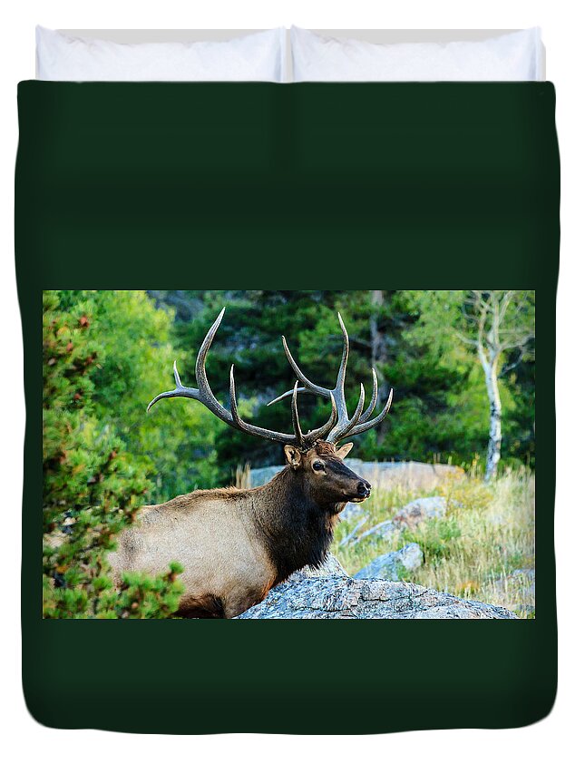 Elk Duvet Cover featuring the photograph Bull Elk by Ben Graham