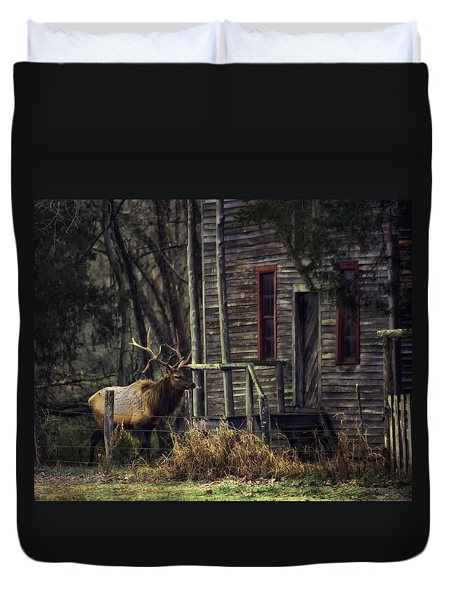 Bull Elk Duvet Cover featuring the photograph Bull Elk by the Old Boxley Mill by Michael Dougherty