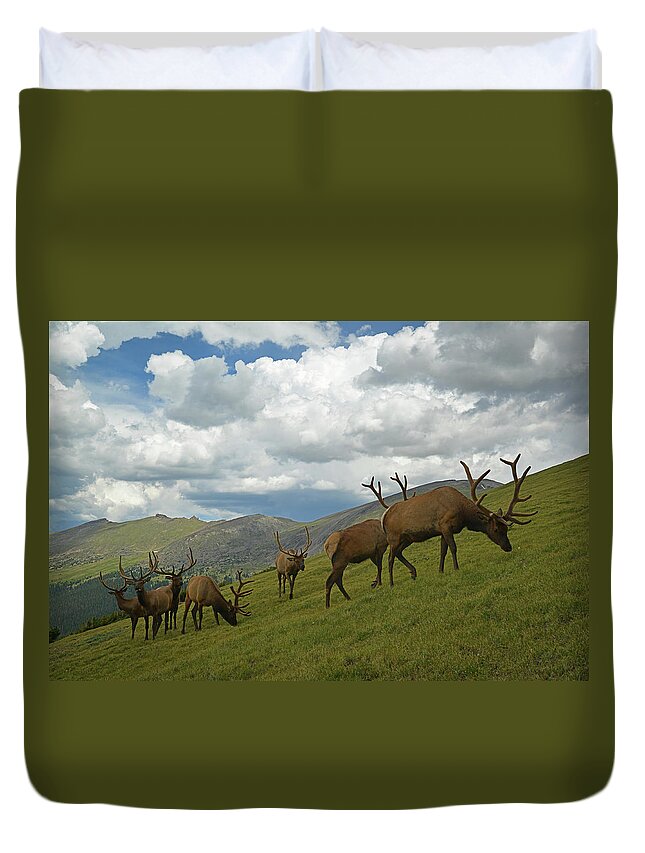 Grass Duvet Cover featuring the photograph Bull Elk by William D. Bowman