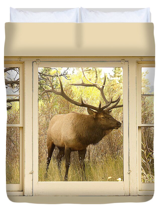 Windows Duvet Cover featuring the photograph Bull Elk Window View by James BO Insogna