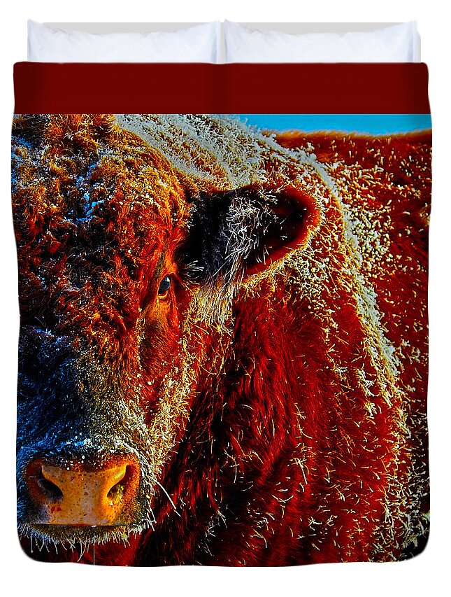 Hdr Duvet Cover featuring the photograph Bull on Ice by Amanda Smith