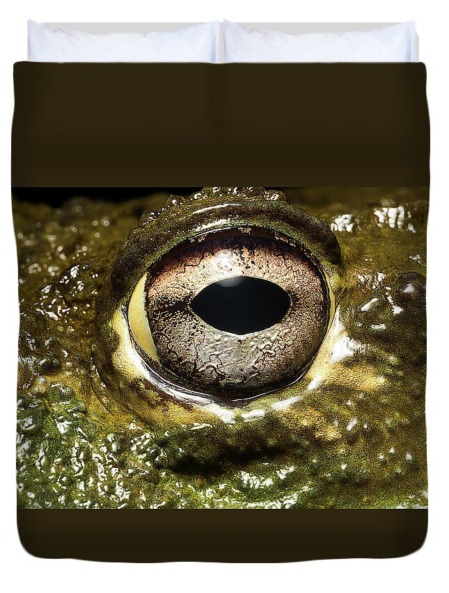 Eyesight Duvet Cover featuring the photograph Bullfrogs Eye, Close Up by Jonathan Knowles