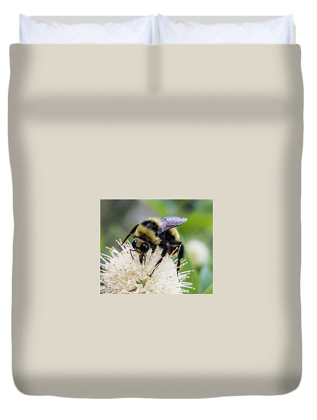 Bumblebee Duvet Cover featuring the photograph Bumblebee on a Buttonwillow by Susan Eileen Evans