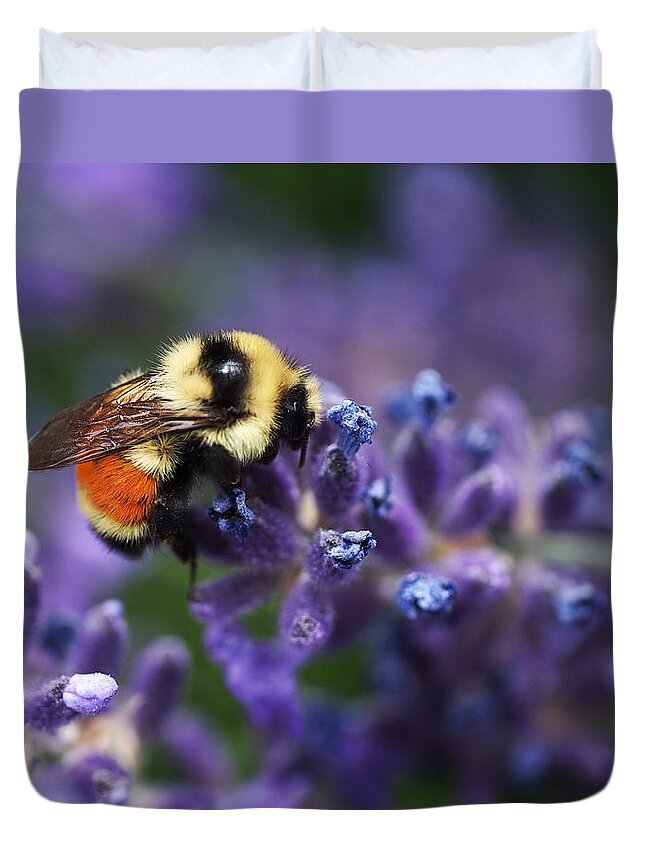 Bee Duvet Cover featuring the photograph Bumblebee on Lavender by Rona Black