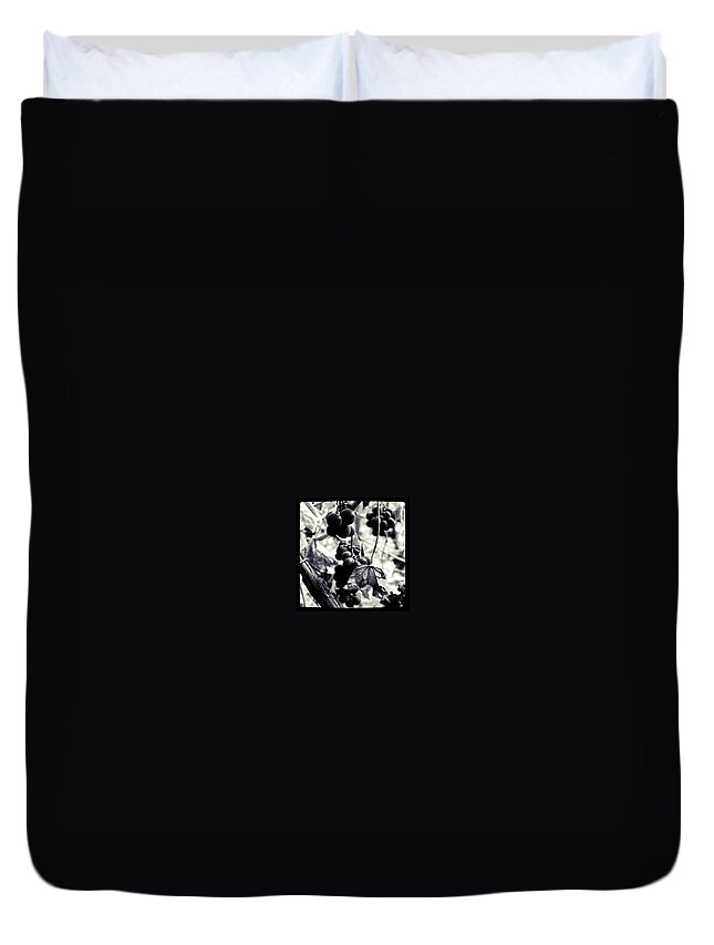 Black And White Duvet Cover featuring the photograph Bunches 4  by Justin Connor