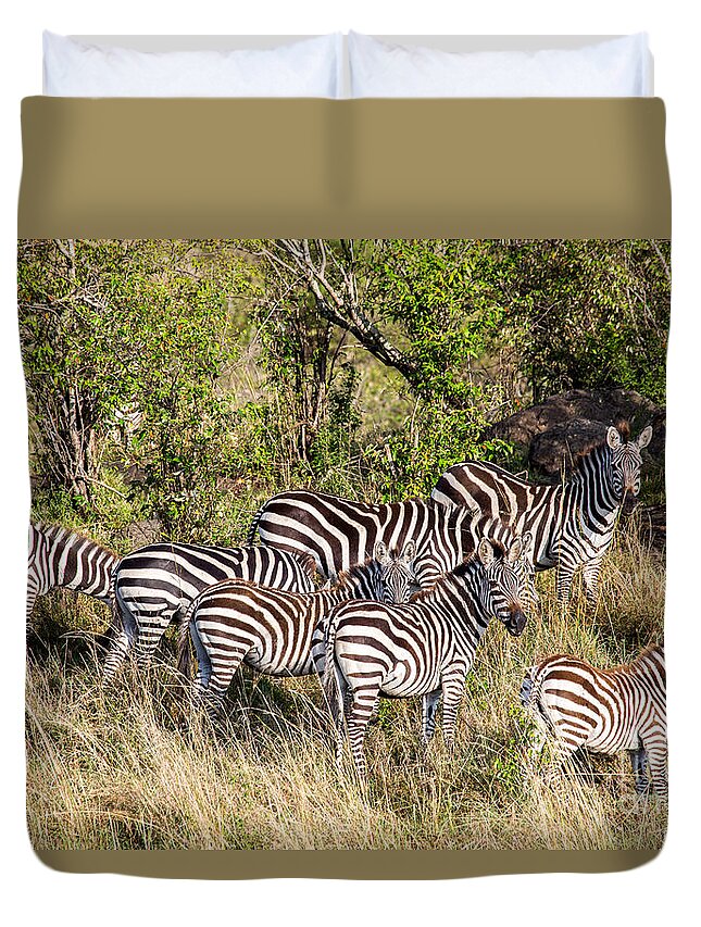 Burchell's Zebras Duvet Cover featuring the photograph Burchells Zebras Concealment Method by Greg Dimijian