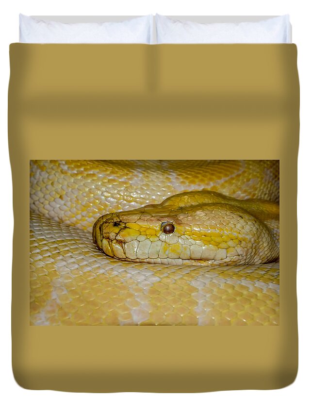 Burmese Python Duvet Cover featuring the photograph Burmese Python by Ernest Echols