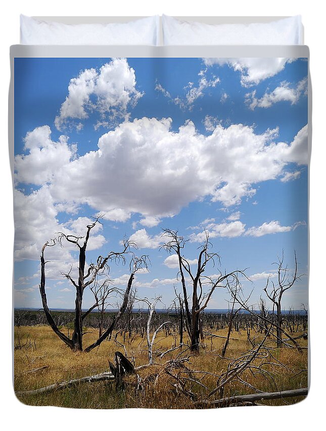 Clouds Duvet Cover featuring the photograph Burned Trees On Colorado Plateau by Christiane Schulze Art And Photography
