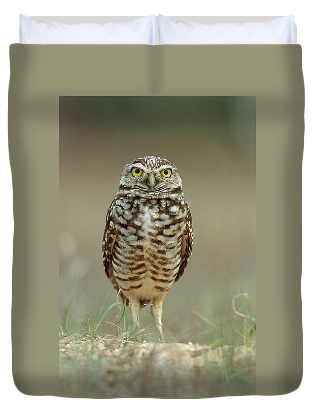 Animal Duvet Cover featuring the photograph Burrowing Owl by Craig K. Lorenz