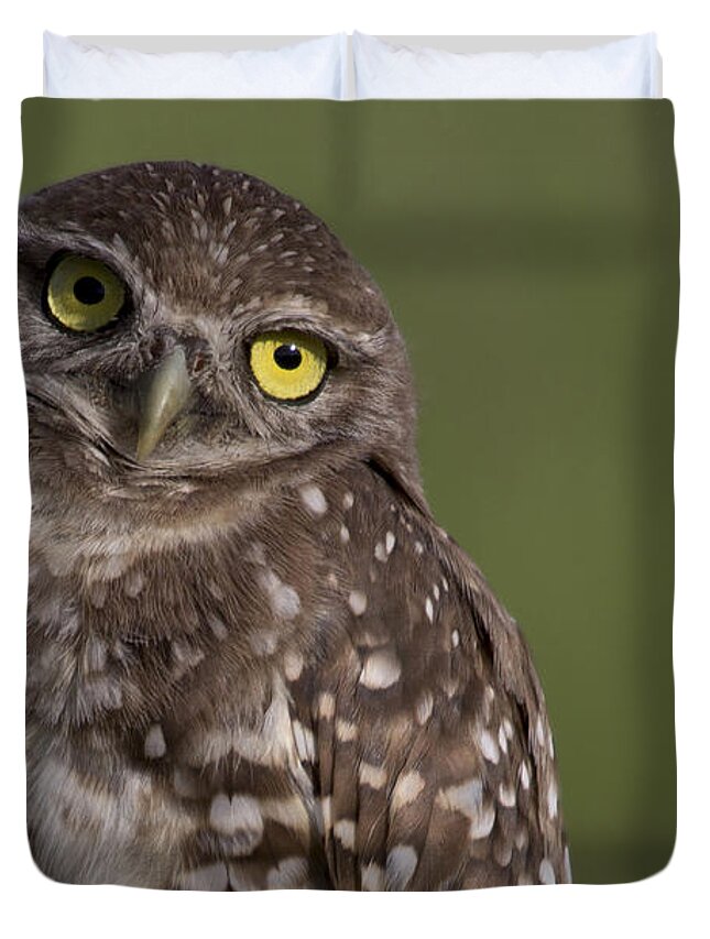 Burrowing Owl Duvet Cover featuring the photograph Burrowing Owl by Meg Rousher