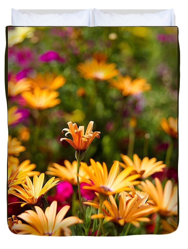 Mayflower Gulch Duvet Cover featuring the photograph Bursting with Color by Ronda Kimbrow