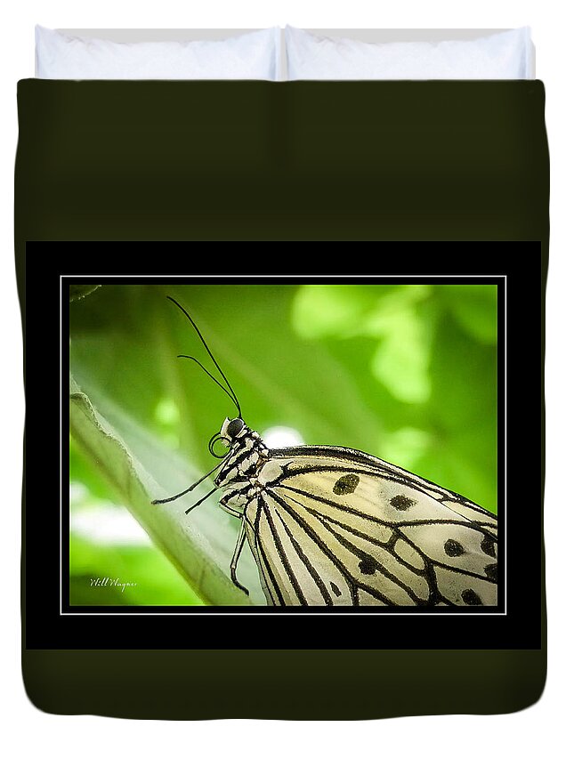 Butterfly Duvet Cover featuring the photograph Butterfly 2 by Will Wagner
