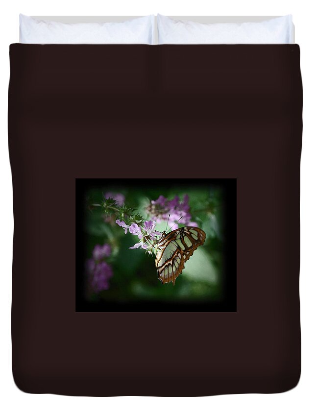 Butterfly Duvet Cover featuring the photograph Butterfly 7 by Leticia Latocki