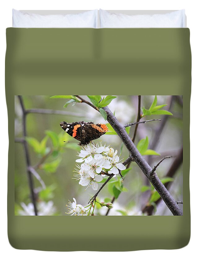 Red Admiral Butterfly Duvet Cover featuring the photograph Butterfly and Apple Blossoms by Penny Meyers