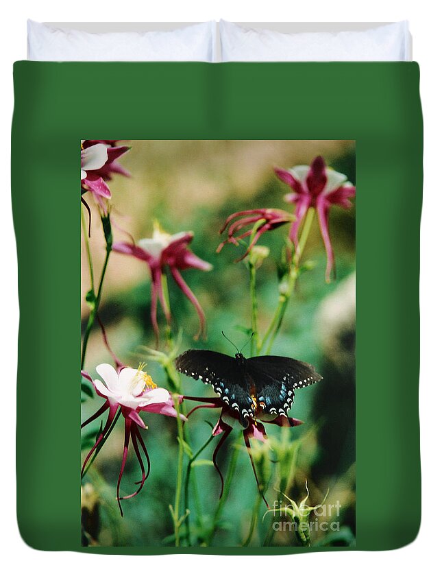 Butterfly Duvet Cover featuring the photograph Butterfly and Pink Columbine by Heather Kirk