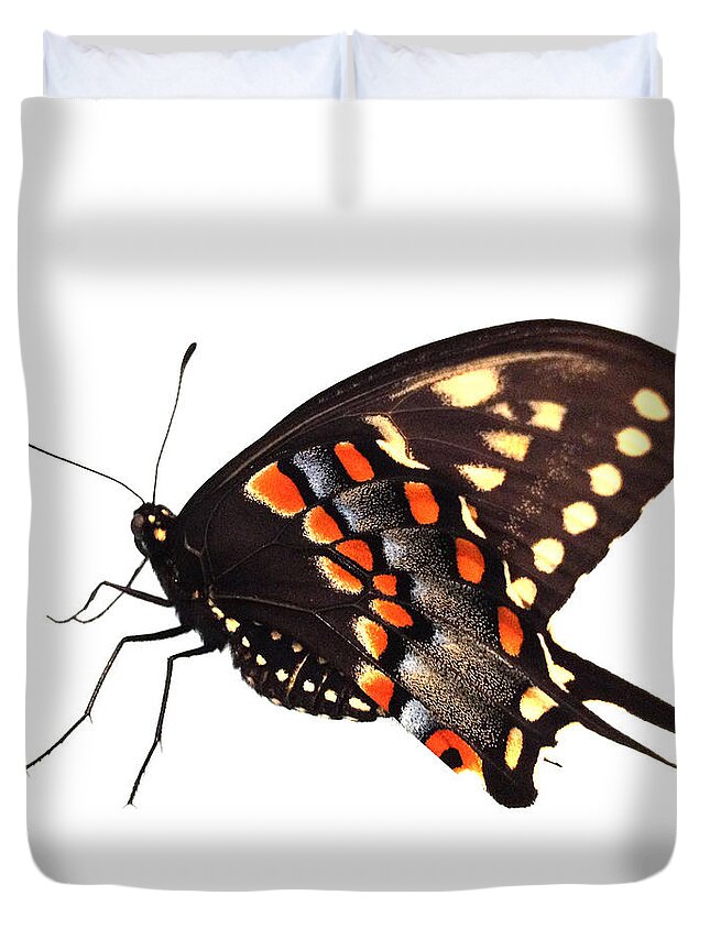 Butterfly Duvet Cover featuring the photograph Butterfly by Dorian Hill