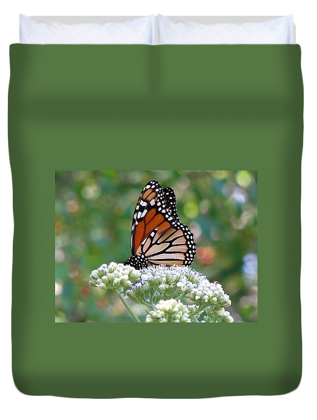 Butterfly Duvet Cover featuring the photograph Butterfly Garden - Monarchs 11 by Pamela Critchlow