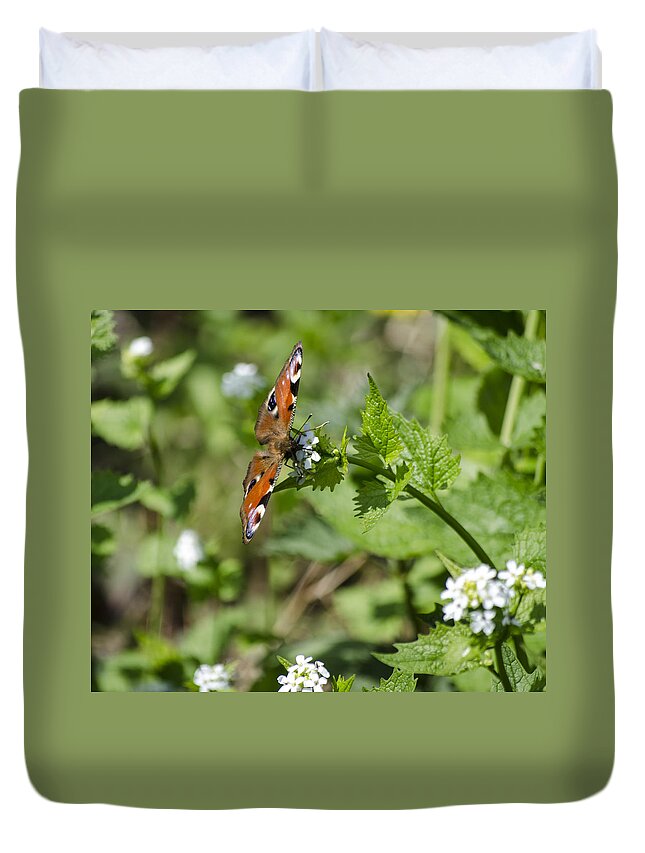 Butterfly Duvet Cover featuring the photograph Butterfly by Spikey Mouse Photography