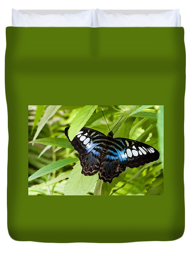 Blue Duvet Cover featuring the photograph Butterfly on Leaf  by Lars Lentz