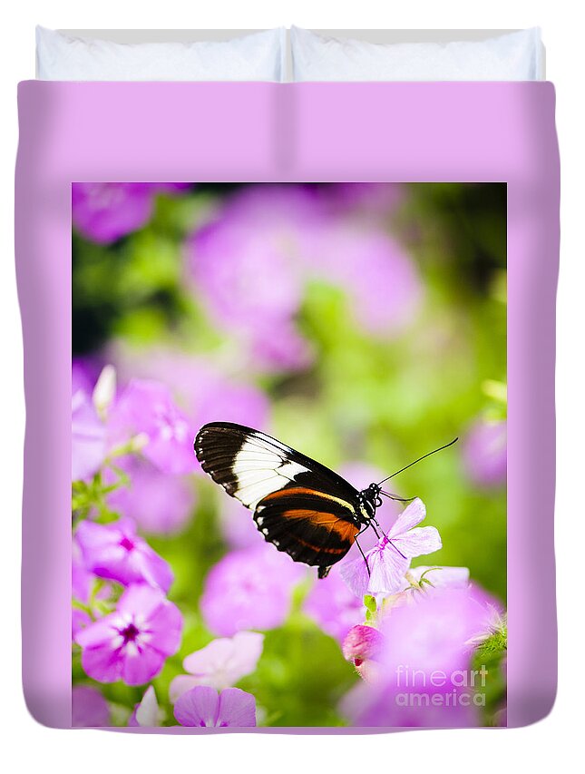 Animals Duvet Cover featuring the photograph Butterfly on Pink Flowers by Oscar Gutierrez