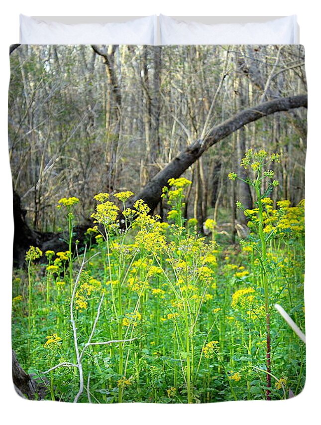 Butterweed Duvet Cover featuring the photograph Butterweed Florida wildflower by Debra Forand