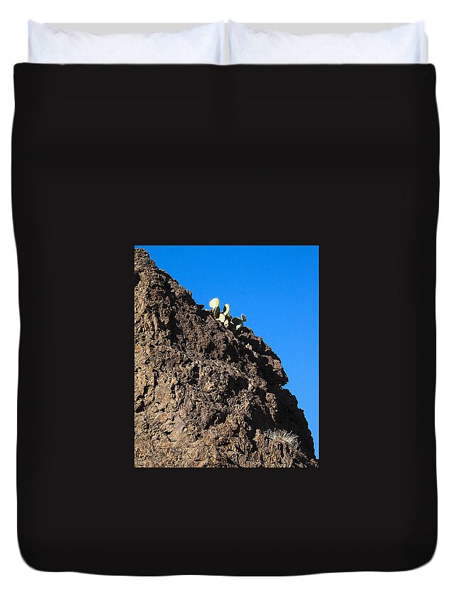New Mexico Duvet Cover featuring the photograph Cactus - Chupederas - New Mexico by Steven Ralser