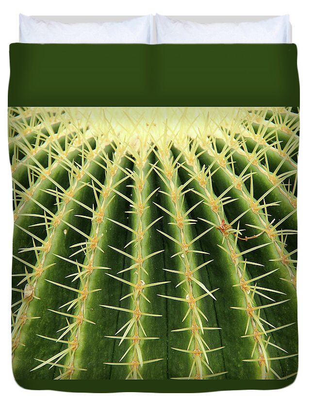 Outdoors Duvet Cover featuring the photograph Cactus by Daniela Duncan