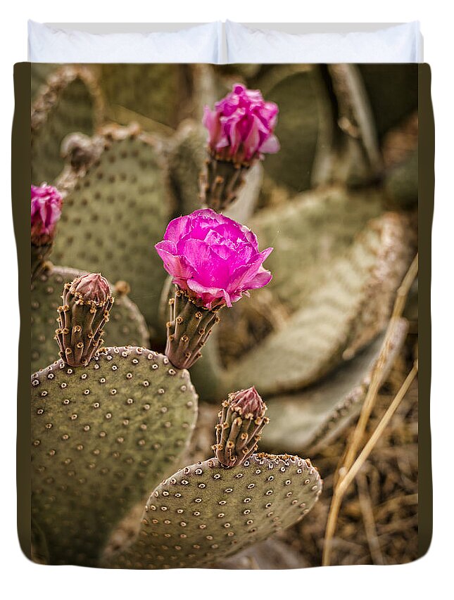 Cactus Duvet Cover featuring the photograph Cactus Flowers by Heather Applegate