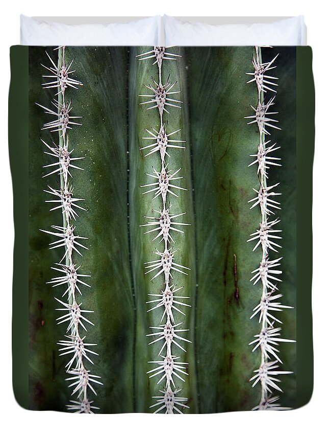 Venlo Duvet Cover featuring the photograph Cactus Needles by John Doornkamp / Design Pics