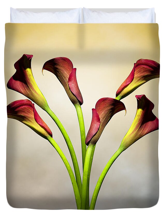 Cala Lily Duvet Cover featuring the photograph Cala Lily 5 by Mark Ashkenazi